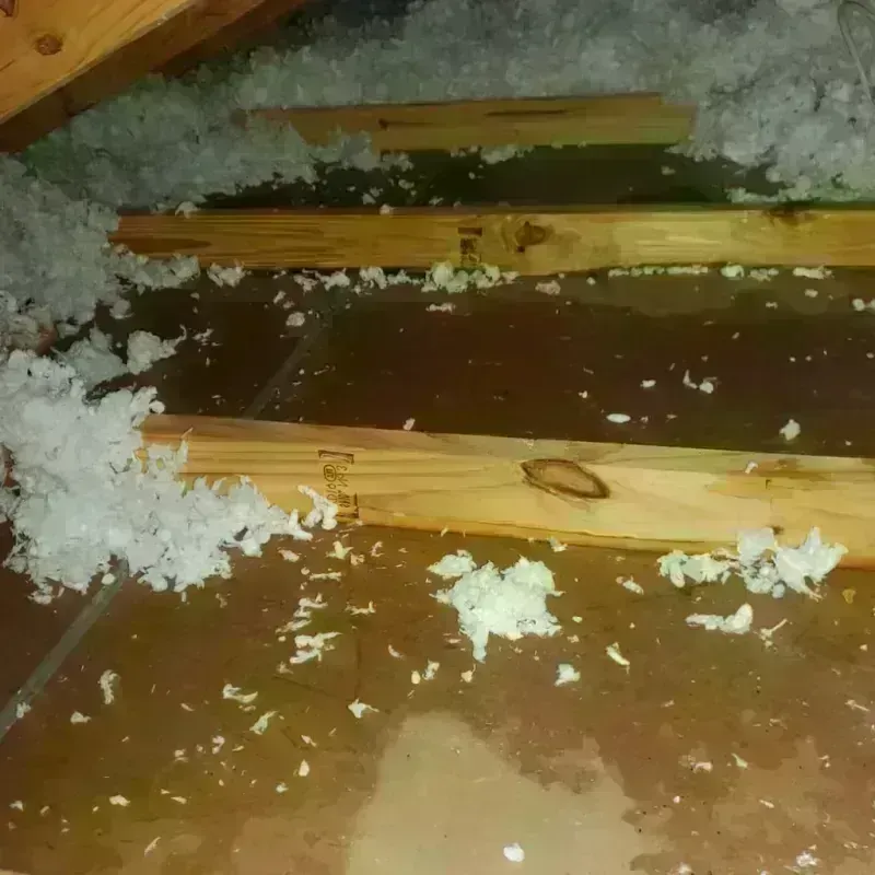 Attic Water Damage in Lindley, NY